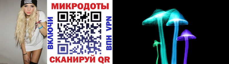 Купить где  Покров  Псилоцибиновые грибы Cubensis 